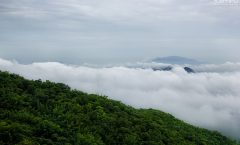 places to visit in yercaud